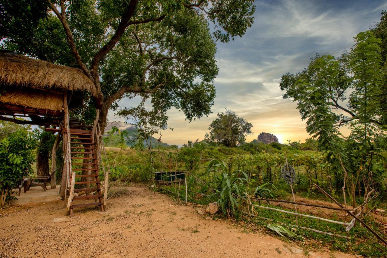 Sigiriya King'S Resort Ngoại thất bức ảnh