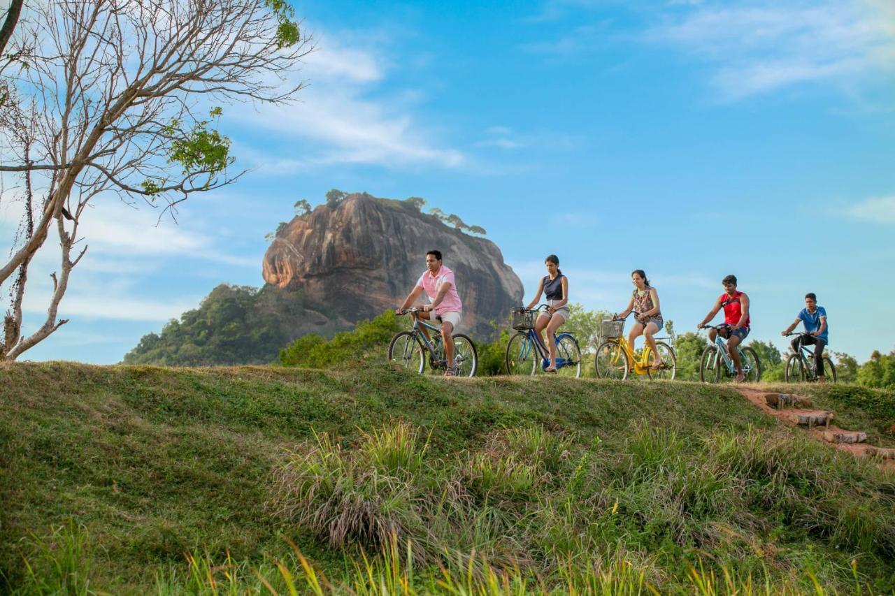 Sigiriya King'S Resort Ngoại thất bức ảnh