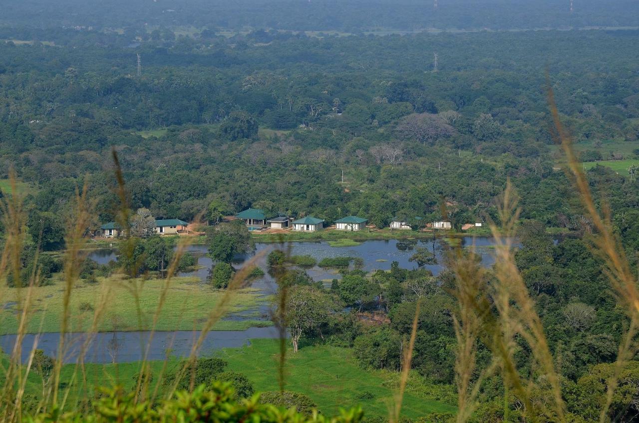 Sigiriya King'S Resort Ngoại thất bức ảnh