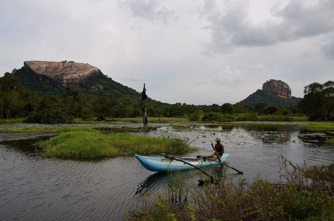 Sigiriya King'S Resort Ngoại thất bức ảnh