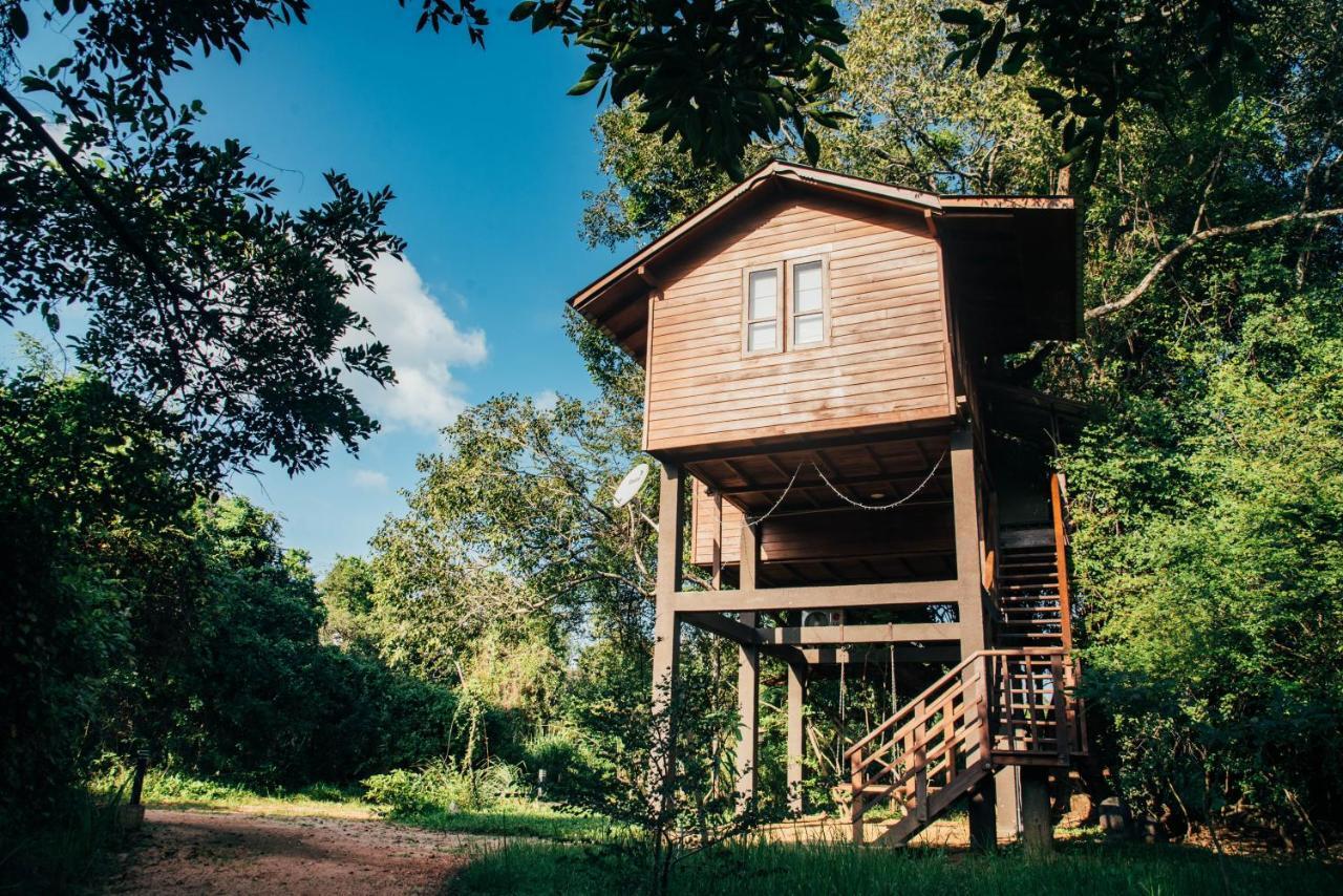Sigiriya King'S Resort Ngoại thất bức ảnh